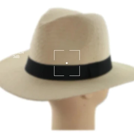 Lady Wholesale Custom Sun Beach Outdoor Wide Brim Ribbon Strohhut